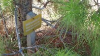 ŞEHİT AİLELERİ - 173 Şehidin İsminin Kazındığı Orman Açıklaması 'Çanakkale Şehitler Ormanı'