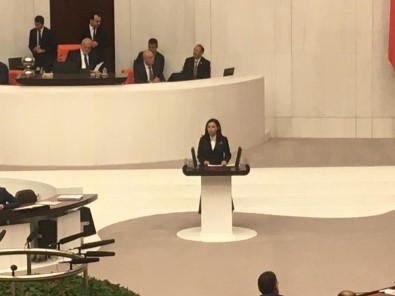 AK Partili Milletvekili Durgut Açıklaması 'Türkçe Ne Yazık Ki Yozlaştırıldı'