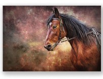 Atları 'tablodan çıkacakmış' gibi resmediyor