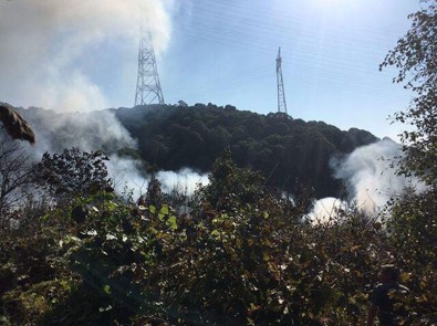 Beykoz Anadolu Kavağı'nda Ormanlık Alanda Yangın