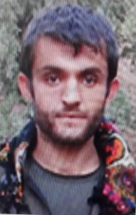 Gri Listede Aranan Terörist Etkisiz Hale Getirildi