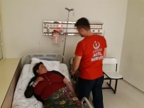 AKREP - Siirt'te Akrebin Soktuğu Kadın Tedavi Altına Alındı