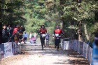 YAŞAR ÇAKMAK - 1. Kademe Oryantiring Yarışı'nın Ormanya Etabı Nefes Kesti