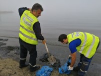 DENİZ KİRLİLİĞİ - Aliağa'da Deniz Temizlik Çalışmaları Sürüyor
