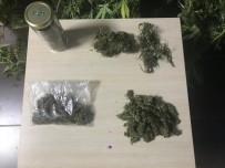 BONZAI - Balıkesir'de 8 Ayrı Uyuşturucu Operasyonu Yapıldı
