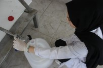 YEŞILYAYLA - Kimya Fabrikası Gibi Okul