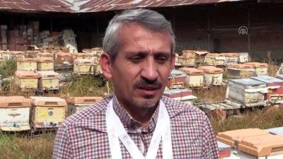 Ürettiği Ballarla Hem Dünya Birincisi Hem Üçüncüsü Oldu