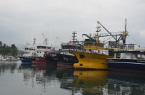 BALIK FİYATLARI - Balıkçılar, Sezondan Beklediklerini Bulamıyor