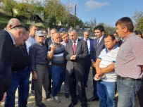 ERDOĞAN BEKTAŞ - Çaycuma'da 'Silajlık Mısır Hasadı' Yapıldı