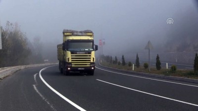 Kastamonu'da Sis Ulaşımı Olumsuz Etkiliyor