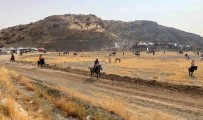 MEHMET ŞİMŞEK - Mardin'de Rahvan Atları Yarıştı