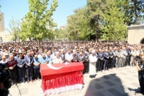 ŞEHİT POLİS - Şehit Polis Taha Uluçay'ın İntikamı Alındı
