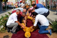 MAHMUT DEMIRTAŞ - 1 Tonluk Kehribar Tespih Guinness'e Aday