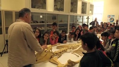 Anadolu Tarihini Milyon Yıllık Fosillerle Öğreniyorlar
