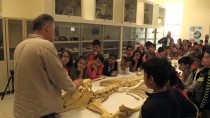 TÜRK TARIH KURUMU - Anadolu Tarihini Milyon Yıllık Fosillerle Öğreniyorlar
