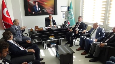 Canbey, Zeytincilik Bölümünde İncelemelerde Bulundu