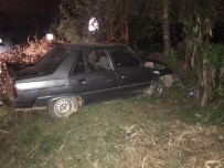 Kontrolden Çıkan Otomobil Ağaca Çarptı Açıklaması 2 Yaralı Haberi