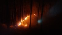 ORMAN İŞÇİSİ - Köyceğiz De Orman Yangını