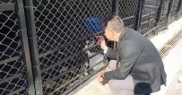 SOKAK HAYVANI - Pursaklar Belediyesi Hayvan Barınağı Yenilendi