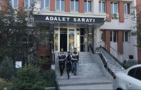 Suç Makinesi, Bozüyük Polisinden Kaçamadı