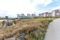 SEMT PAZARLARı - Altındağ'a Yeni Semt Pazarları