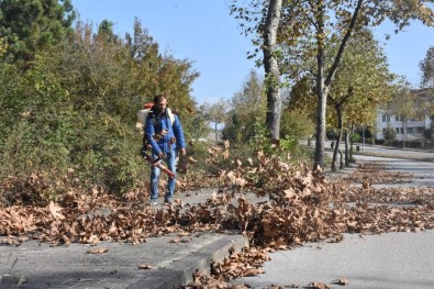 Belediyeden Sonbahar Temizliği