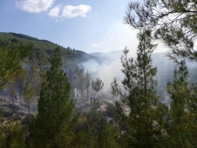 Denizli'de Orman Yangını