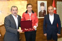 BOKSÖR - Elif Güneri'nin Hedefi Altın Madalya