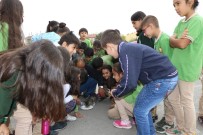 MİMAR SİNAN - Öksüz Kalan 'Minnoş' Küçük Öğrencilerin Sevgisiyle Büyüyor