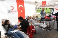 ADıYAMAN ÜNIVERSITESI - Rektör Turgut'tan Kan Bağışı Kampanyasına Destek