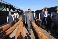 ORMAN BAKANI - 'Tıbbi Aromatik Bitkilerin Yetiştirilmesine Müsaade Etmeye Başladık'