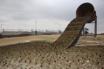 Başkan Kalaycı Açıklaması 'Kapsamlı Bir Park Yapımına Başladık'