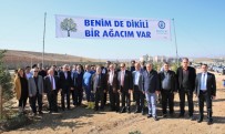 BAYBURT ÜNİVERSİTESİ - Bayburt Üniversitesi, 'Hayat Dolu' Bâbertî Külliyesi'ne 480 Ağaç Daha Kazandırdı