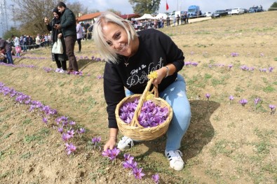Mutluluk İksiri Açıklaması Safran