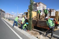ÇAM AĞACI - Niğde Belediyesi Yeşillendirme Çalışmaları Aralıksız Devam Ediyor