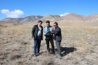 Oltu'ya Küçükbaş Hayvan Kesimhanesi Yapılacak