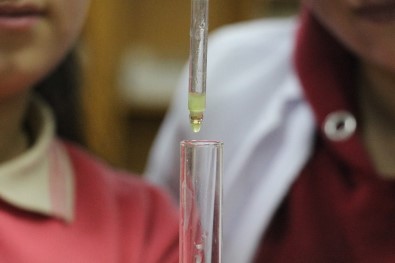 Sivaslı Öğrenciler Salatalıktan Koku Üretti