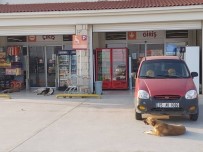 ÇEVRE KIRLILIĞI - Tatil Bitti, Sokaklar Terk Edilmiş Hayvanlarla Doldu