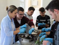 TRAKYA ÜNIVERSITESI - Trakya Üniversitesinin Uluslararası Öğrencileri Osmanlı Mutfağıyla Tanıştı