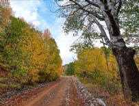 Tunceli ormanları sonbahar renkleriyle bir başka güzel