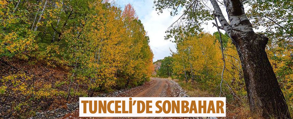 Tunceli ormanları sonbahar renkleriyle bir başka güzel
