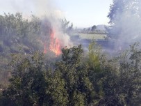 İTFAİYE ARACI - Antalya'da Çıkan Yangın Kontrol Altına Alındı