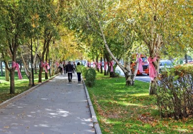 Atatürk Üniversitesi'nde 'Meme Kanseri Farkındalık Ayı' Etkinlikleri Devam Ediyor