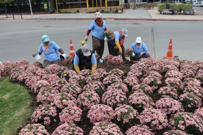 Büyükşehir'de Kent Estetiği İçin Çalışmalar Sürüyor