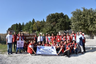 Damla Gönüllük Hareketi İle Hasan Mevsuf Şehitliğine Fidan Dikimi Yapıldı