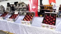 TARIM VE HAYVANCILIK FUARI - Niğde'de 'En İyi Elma' Yarışması Düzenlendi