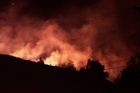 SAN FRANCISCO - Orman Yangını Nedeniyle On Binlerce Kişi Tahliye Edildi