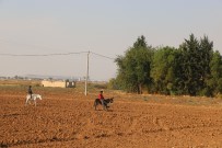 TÜRK SILAHLı KUVVETLERI - Rasulayn'da Artık Çocuklar Gülüyor