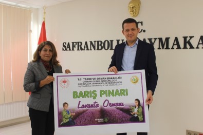 Safranbolu'da '11 Milyon Fidan Dikim Etkinliği'