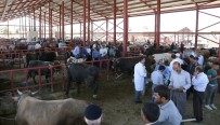 HAYVAN PAZARI - Van'da Canlı Hayvan Pazarı İçin Önemli Kararlar Alındı